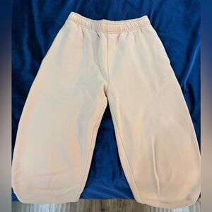 Aritzia Cozy Fleece Mega Jogger Sweatpants